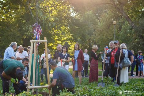 Sázení stromů národů