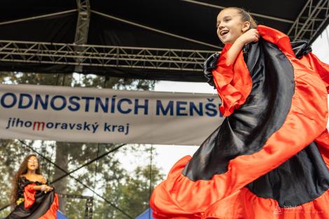 DEN NÁRODNOSTNÍCH MENŠIN JMK