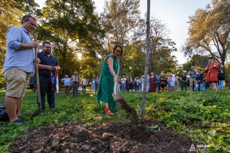 Sázení stromů národů