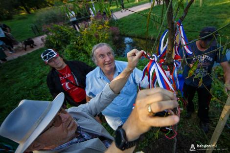 Sázení stromů národů