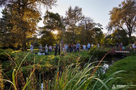 Sázení stromů národů