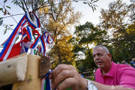 Sázení stromů národů