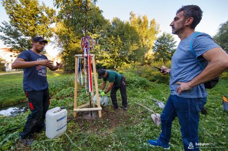 Sázení stromů národů