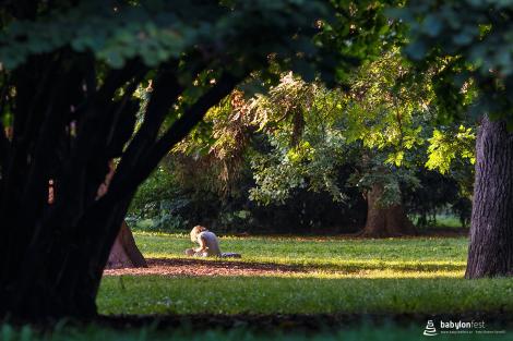 Sázení stromů národů