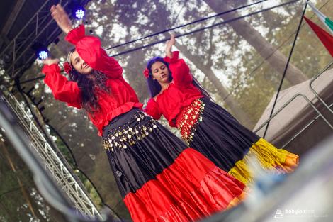 Den národnostních menšin Jihomoravského kraje