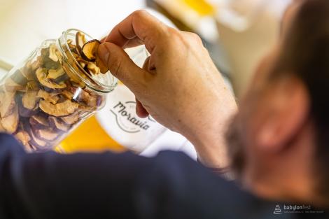 PUB KVÍZ – Babylonfest 2025