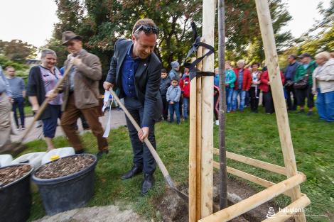Zahájení festivalu a sázení stromů národů