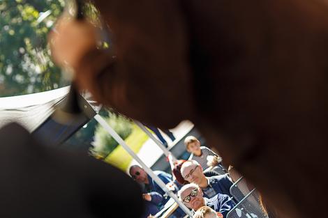 Babylon pod Špilberkem