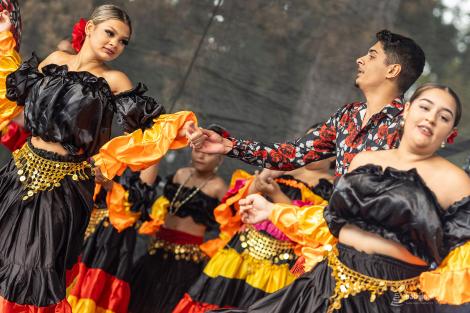 DEN NÁRODNOSTNÍCH MENŠIN JMK