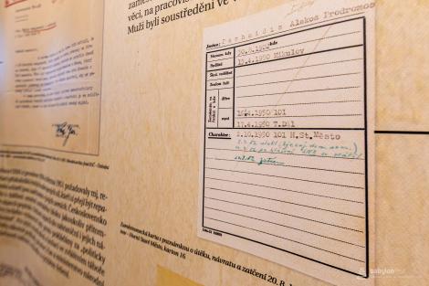 Komentovaná prohlídka výstavy Já se chci vrátit domů