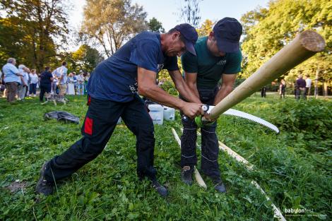 Sázení stromů národů