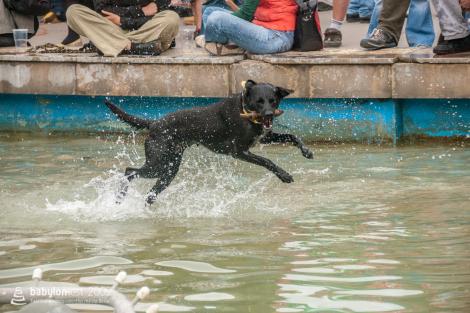 MAKO MAKO – Babylonfest – den třetí