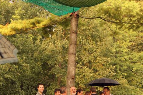 Stromy národů 2014