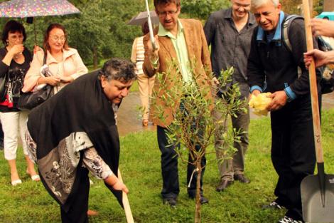 Stromy národů 2014