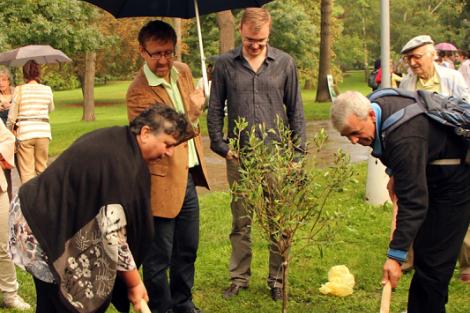 Stromy národů 2014