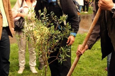 Stromy národů 2014