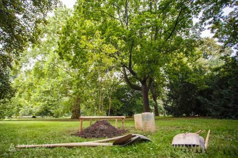 Stromy národů – slavnostní vysazení národních stromů Poláků a Ukrajinců.