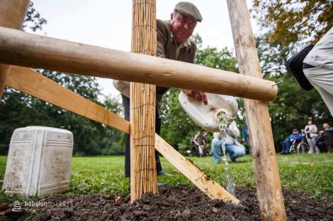 Stromy národů – slavnostní vysazení národních stromů Poláků a Ukrajinců.