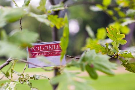 Stromy národů – slavnostní vysazení národních stromů Poláků a Ukrajinců.