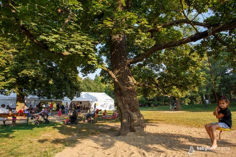 Slavnostní vysazení národních stromů Vietnamců a Rusínů v brněnském parku Lužánky