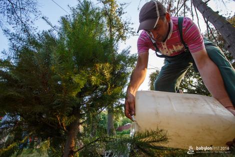 Slavnostní vysazení národních stromů Vietnamců a Rusínů v brněnském parku Lužánky