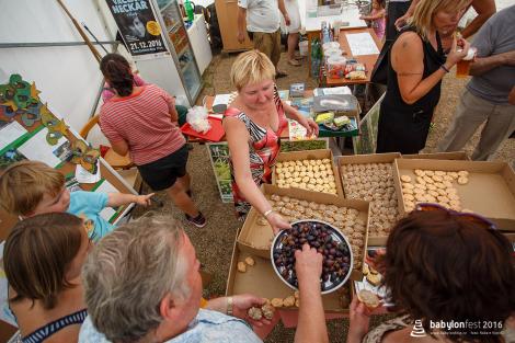 Slavnostní vysazení národních stromů Vietnamců a Rusínů v brněnském parku Lužánky