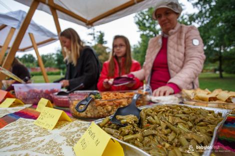 Zahájení festivalu a Stromy národů