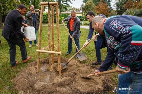 Zahájení festivalu a Stromy národů