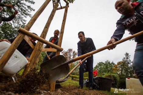 Zahájení festivalu a Stromy národů