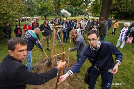 Zahájení festivalu a Stromy národů