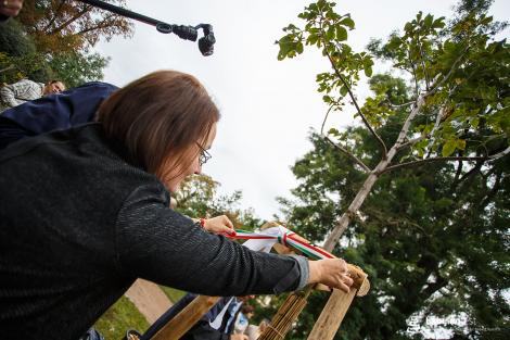 Zahájení festivalu a Stromy národů