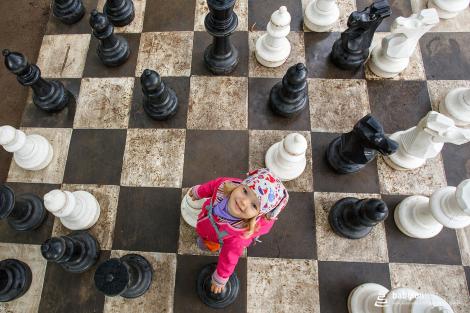 Zahájení festivalu a Stromy národů